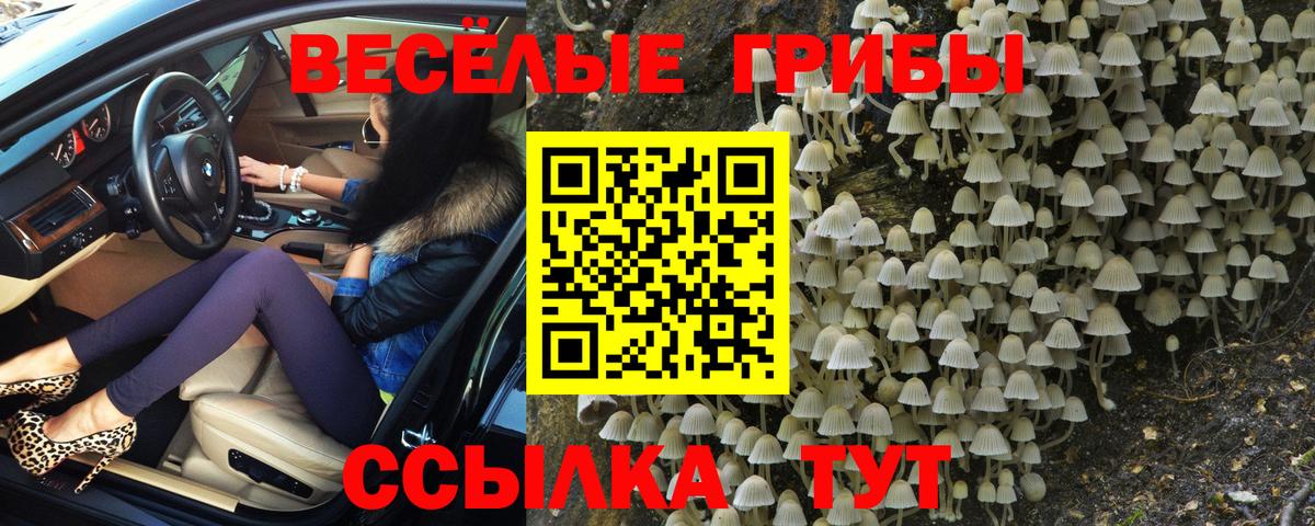 Псилоцибиновые грибы Cubensis Киров