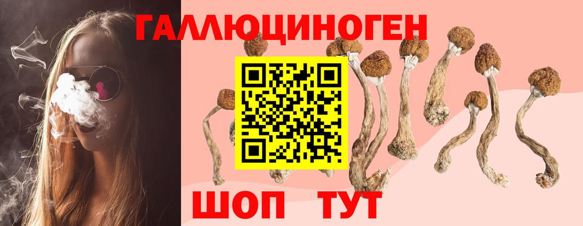 Киров  Галлюциногенные грибы мицелий  Вход с VPN 